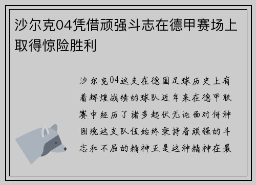 沙尔克04凭借顽强斗志在德甲赛场上取得惊险胜利